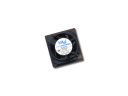 Pentium OD MS